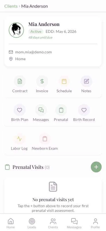 Pro Mode client dashboard showing client profile with due date, status, and key actions