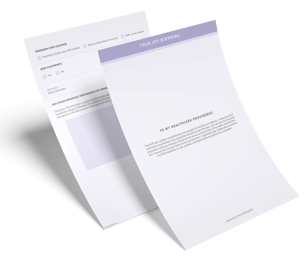 The free Joyful Birth Plan — a two-page overlapping stack showing the introduction letter and newborn care location preferences