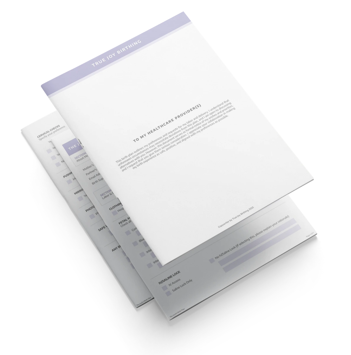 Joyful Birth Plan PDF mockup
