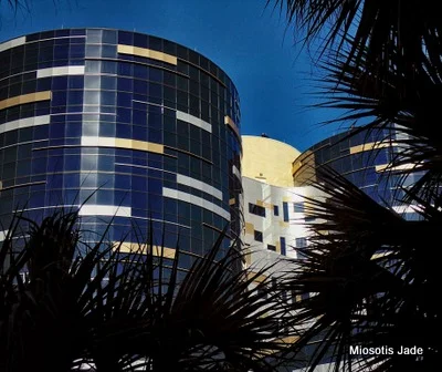Winnie Palmer Hospital for Women & Babies hospital