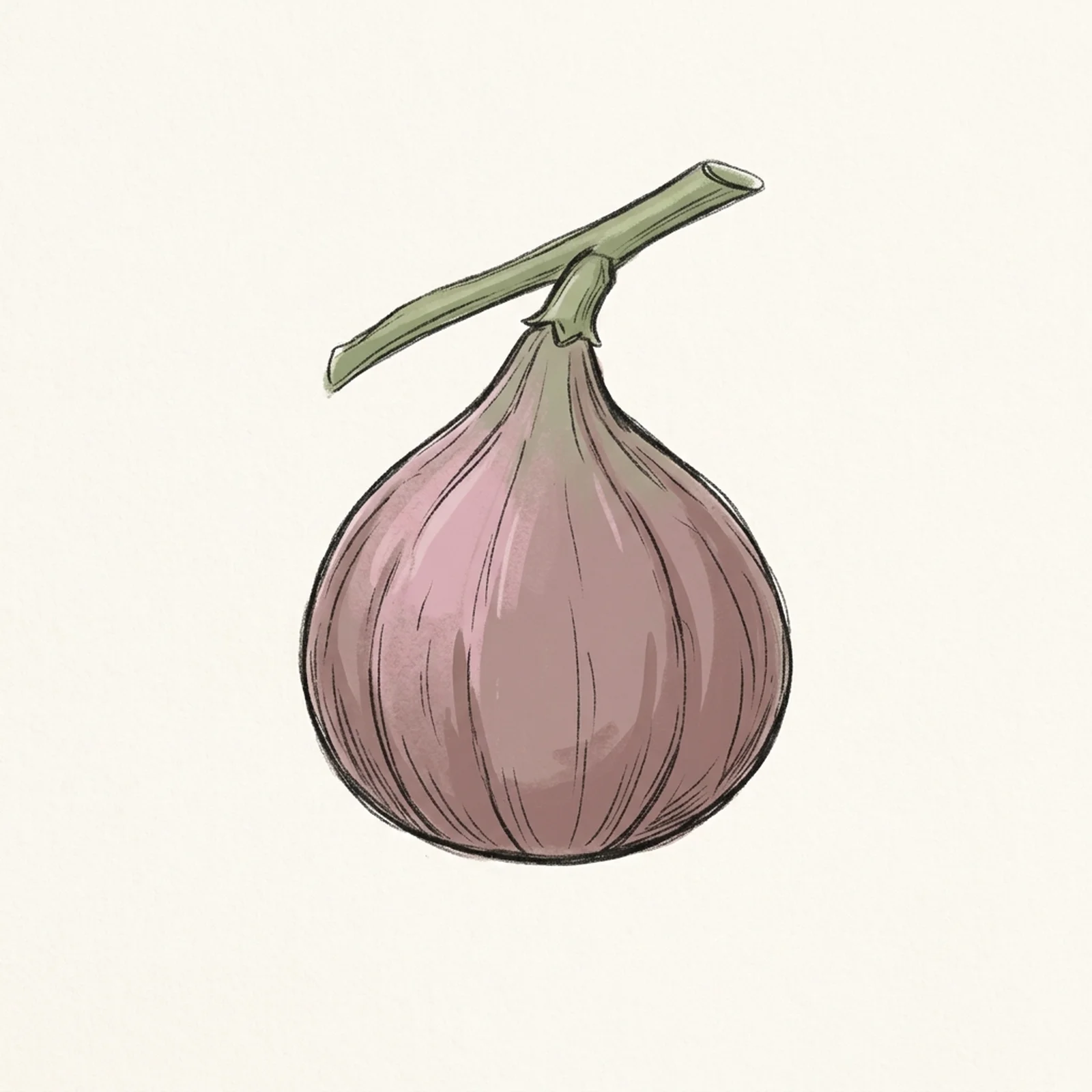 Week 11 pregnancy illustration — As small as a fig